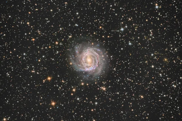 Galaxie NGC 5643