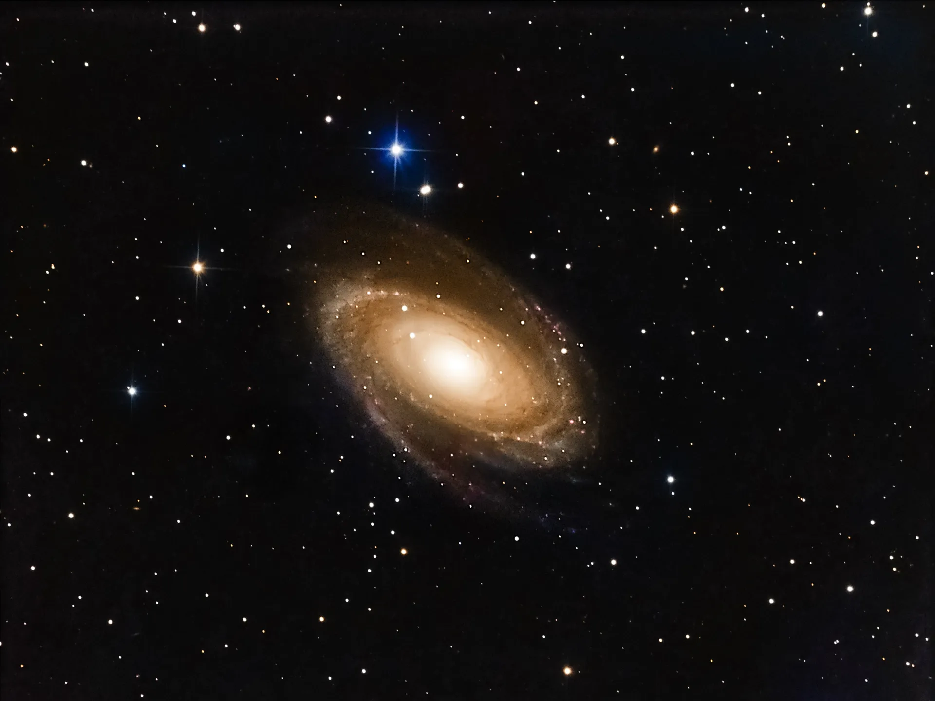 Galaxie de Bode (M81)
