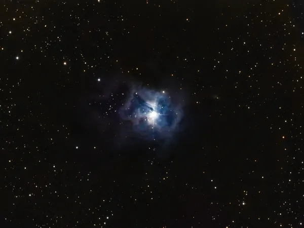 Nébuleuse de l'iris (NGC 7023)