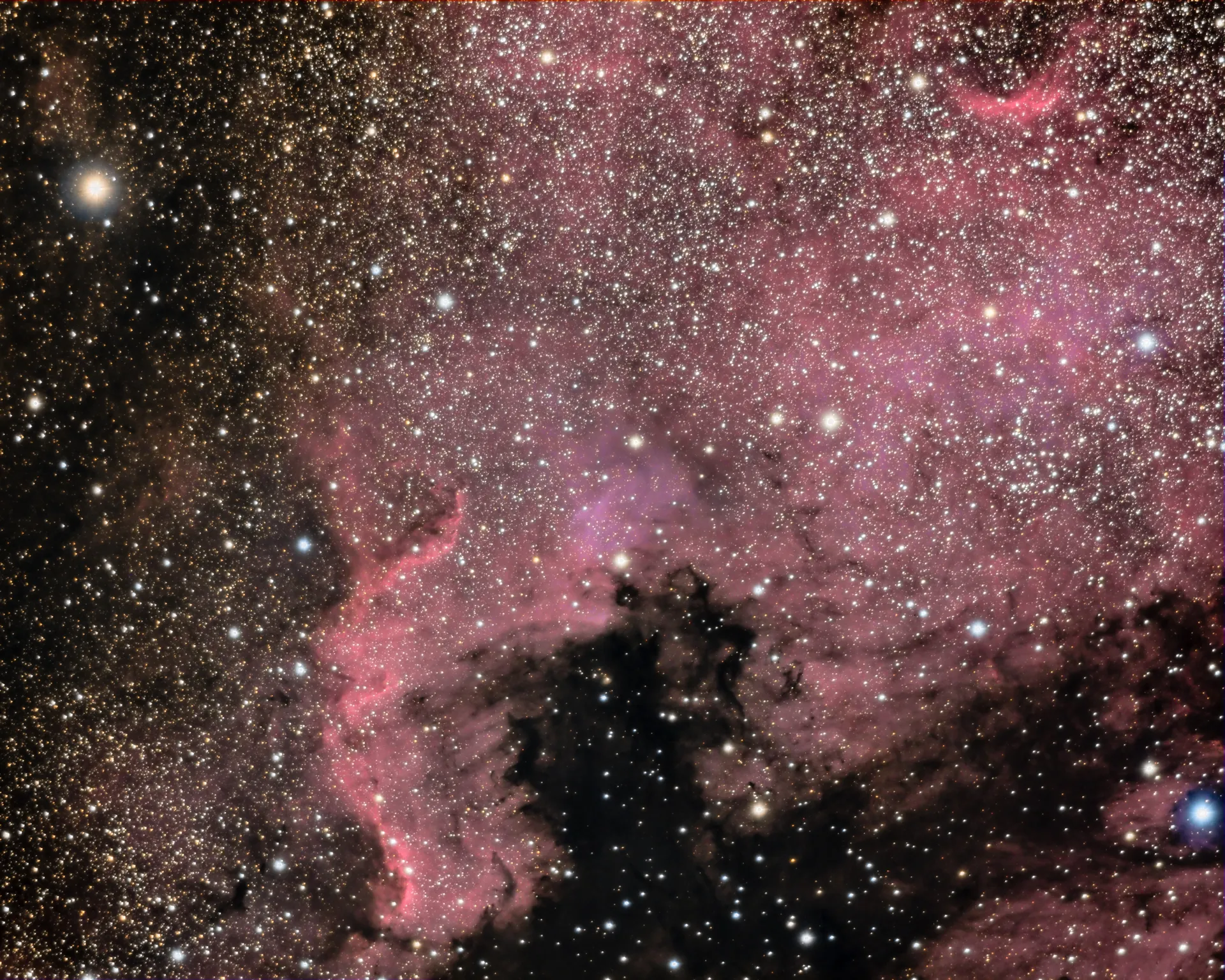 Nébuleuse North America (NGC 7000)