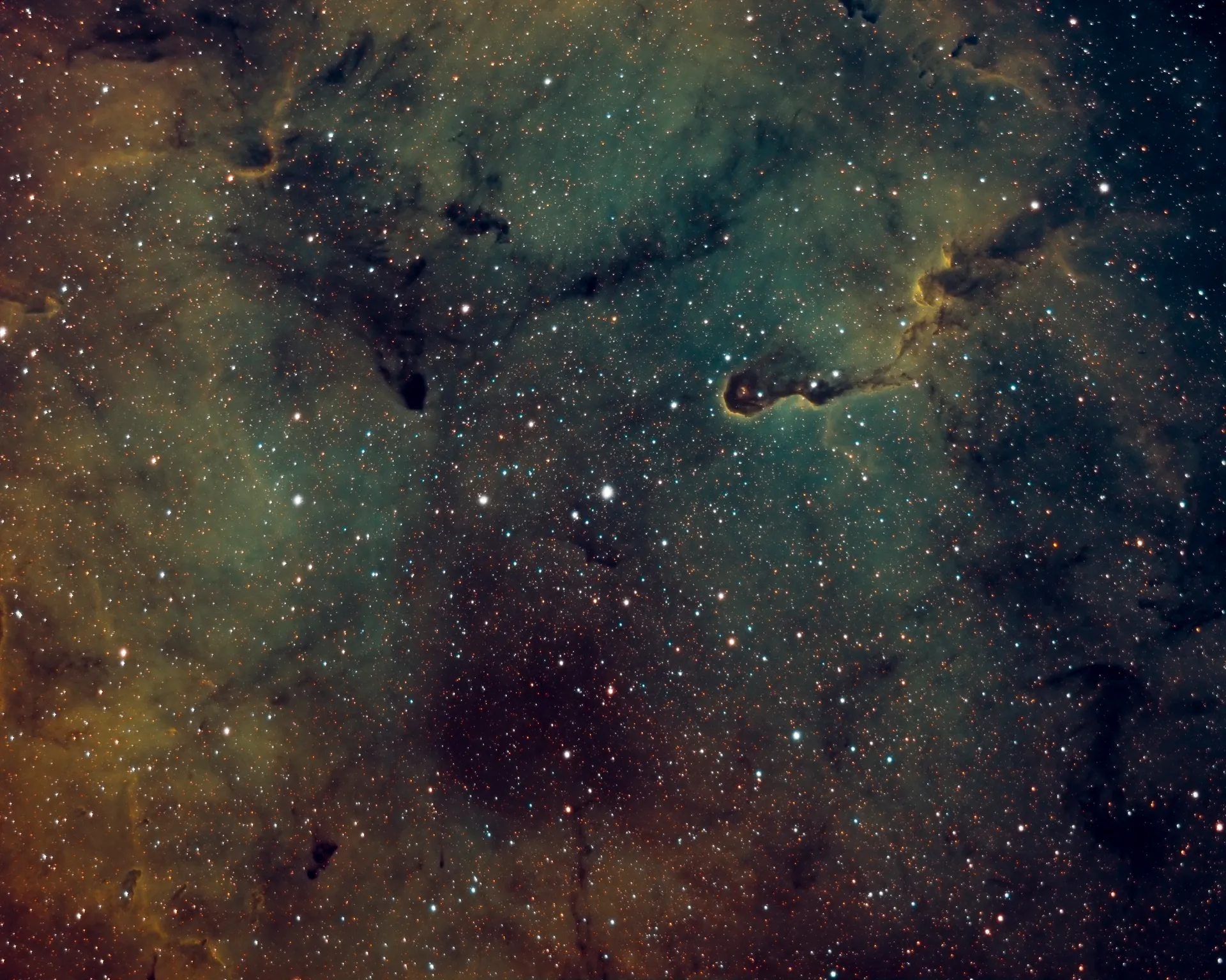 Nébuleuse de la trompe d'éléphant (IC 1396)
