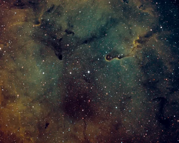 Nébuleuse de la trompe d'éléphant (IC 1396)