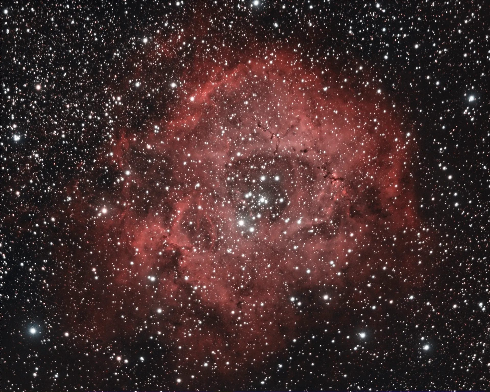 Nébuleuse de la rosette (NGC 2237)