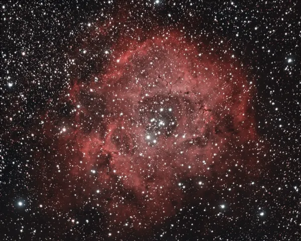 Nébuleuse de la rosette (NGC 2237)