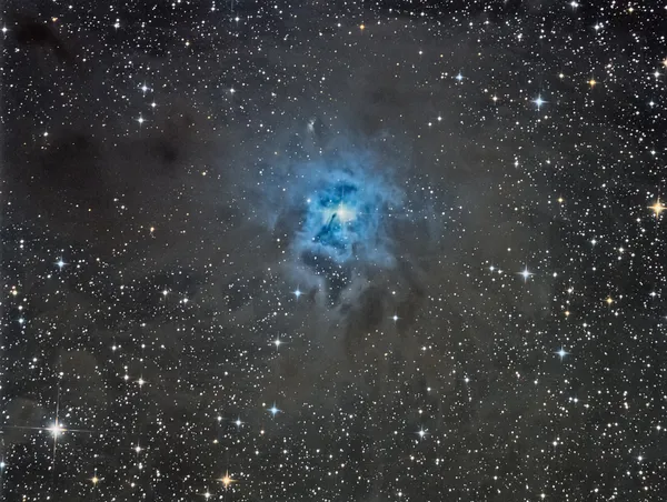 Nébuleuse de l'Iris (NGC 7023)