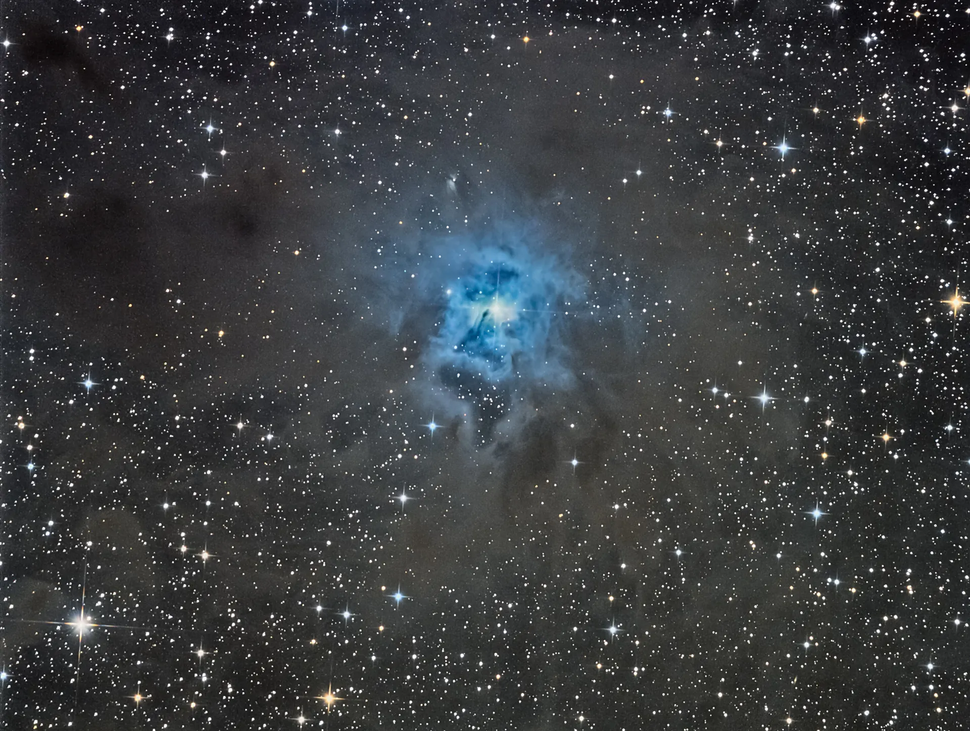 Nébuleuse de l'Iris (NGC 7023)