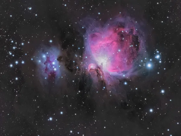 Nébuleuse d'orion (M42)