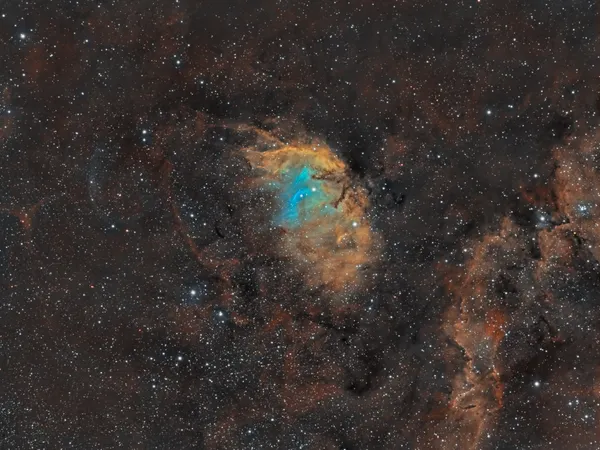 Nébuleuse de la tulipe (SH2-101)