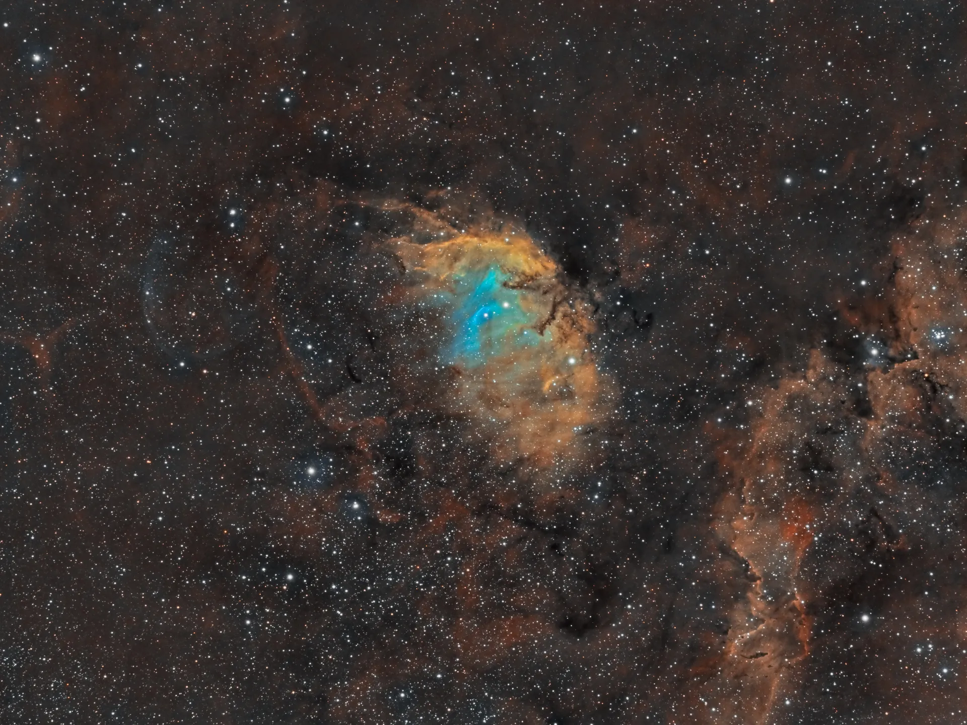 Nébuleuse de la tulipe (SH2-101)