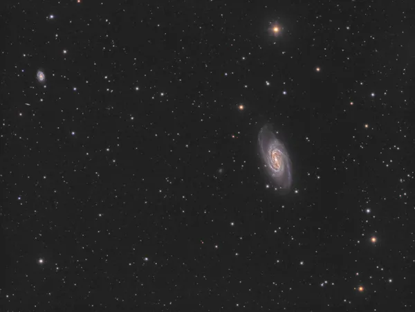 Galaxie NGC2903