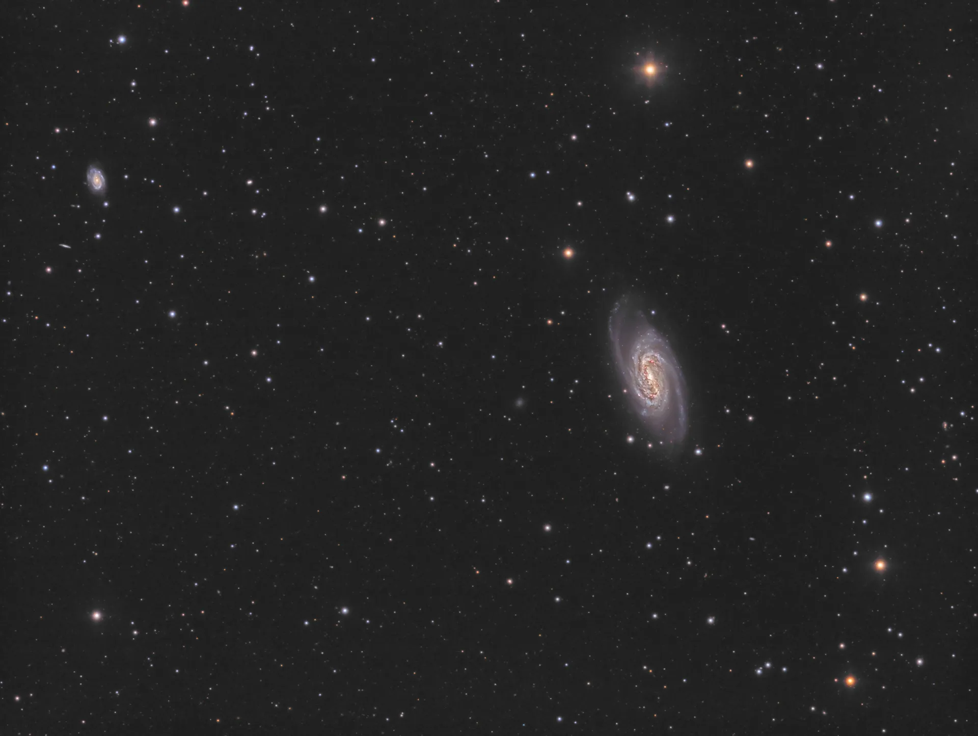 Galaxie NGC2903