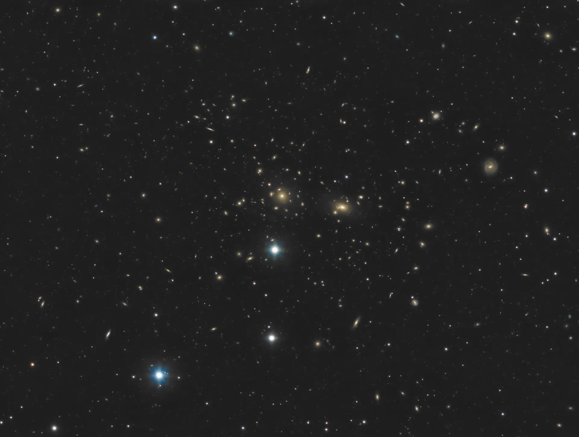 L'amas de la chevelure de Bérénice (Abell 1656)