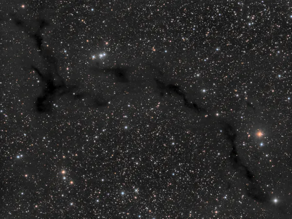 Nébuleuse de l'hippocampe (Barnard 150)