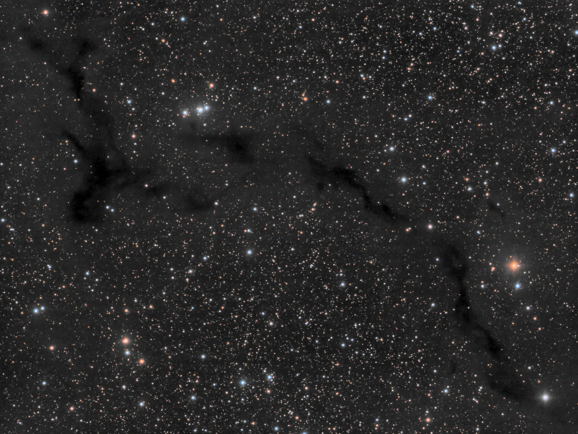 Nébuleuse de l'hippocampe (Barnard 150)