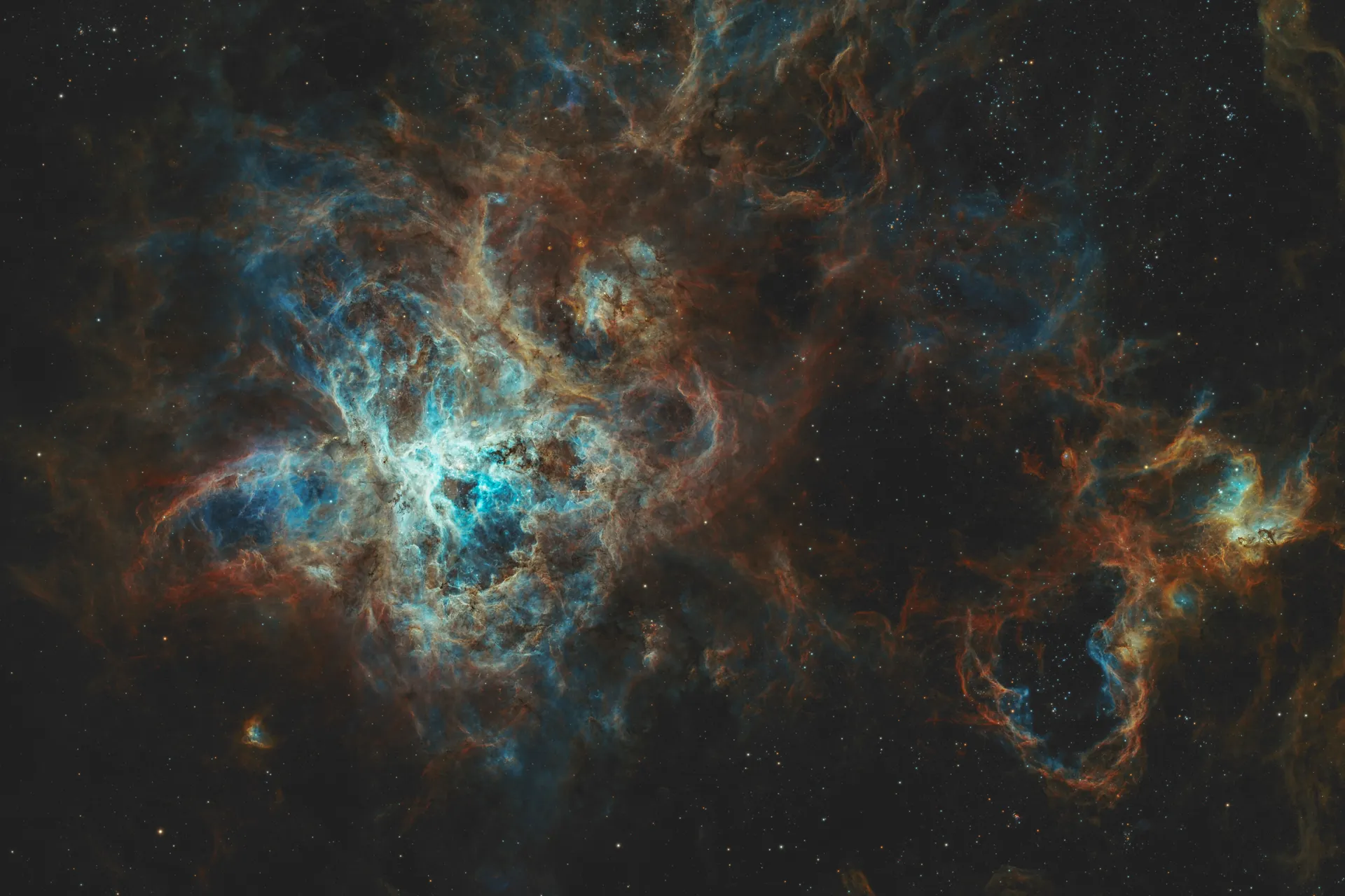 Nébuleuse de la tarentule (NGC 2070)