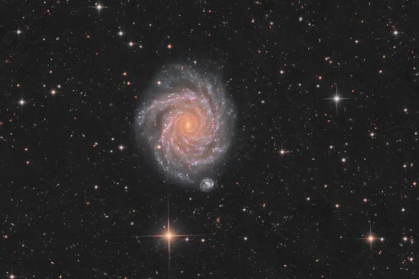 Galaxie NGC 1232