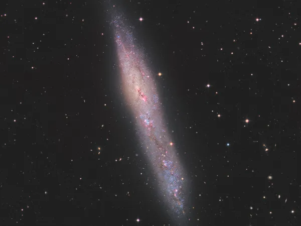 Galaxie NGC 55