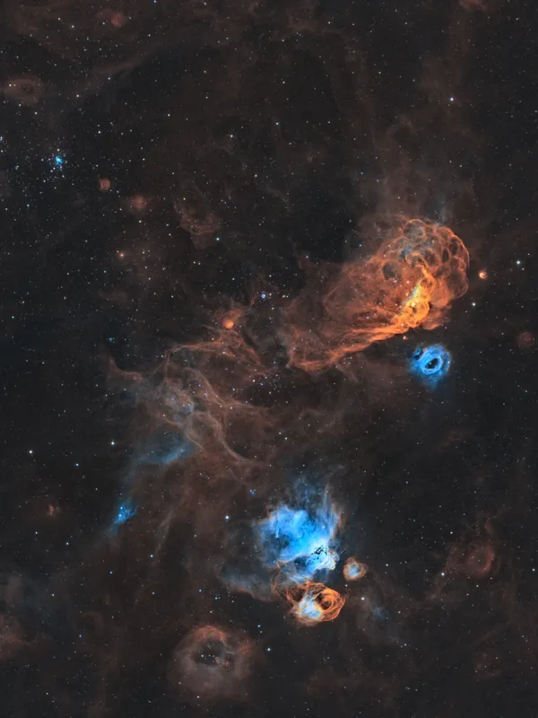 Nébuleuses NGC 2014 et NGC 2020